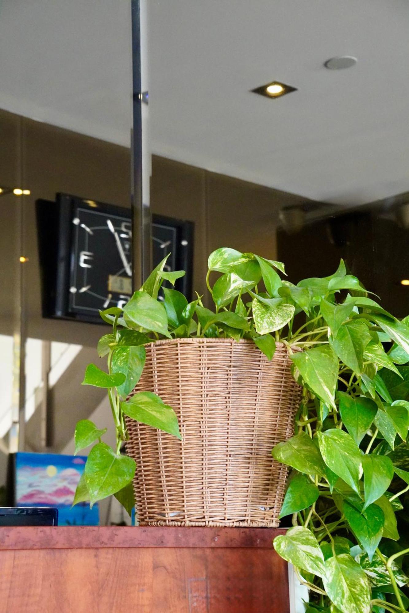 Melbourne Vivo Aparthotel Bagian luar foto